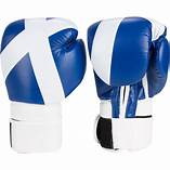 Respect Scotland boxing gloves